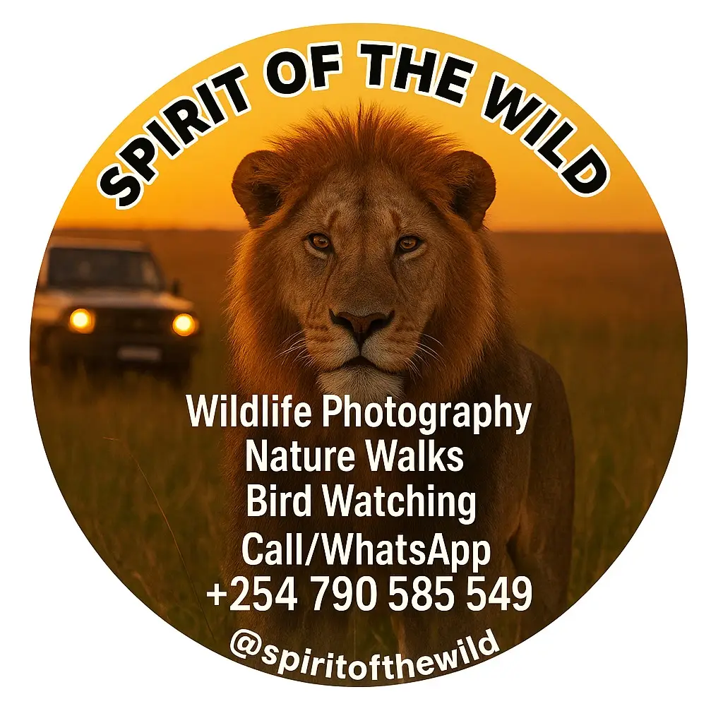 Spirit Of The Wild