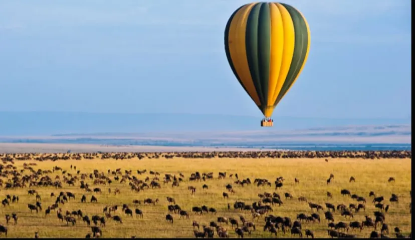 Hot-Air Balloon 2